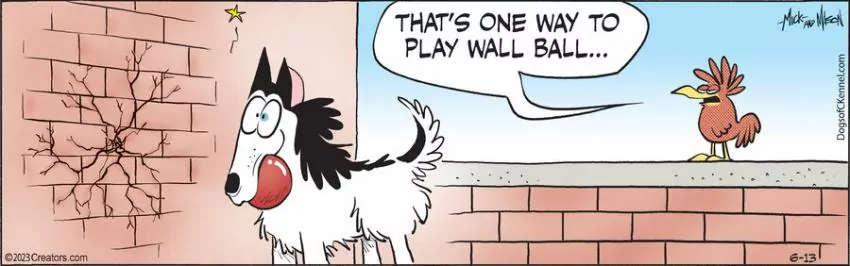 Dogs of C-Kennel for Jun 13, 2023