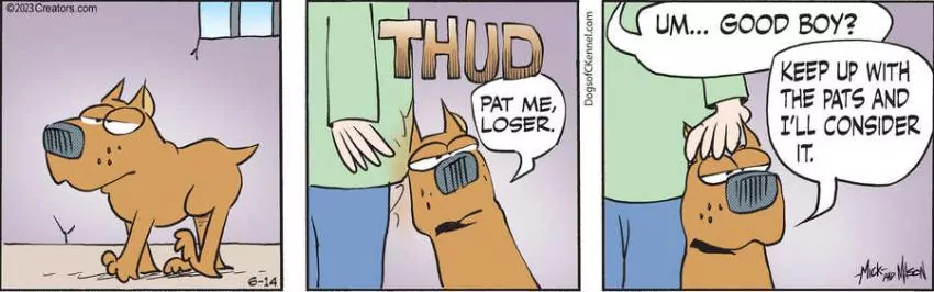 Dogs of C-Kennel for Jun 14, 2023