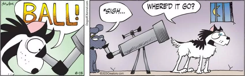 Dogs of C-Kennel for Jun 15, 2023