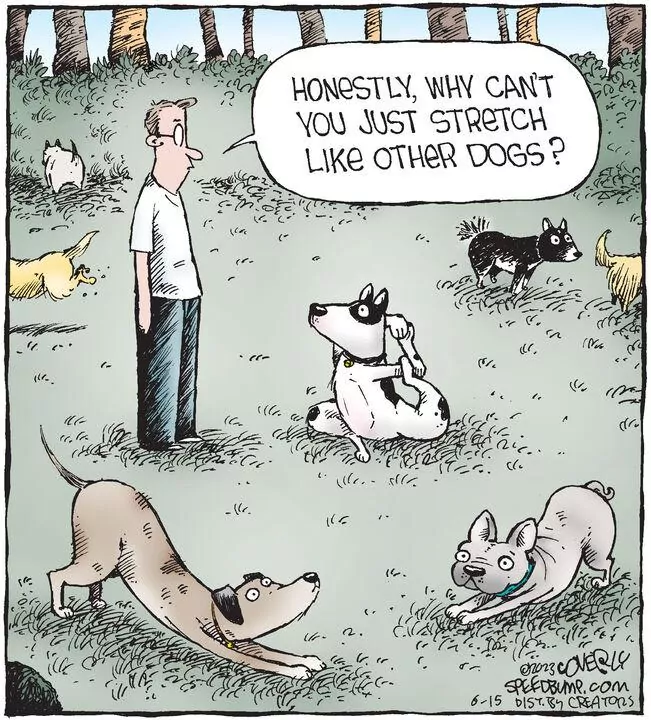 Speed Bump for Jun 15, 2023