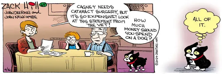 Zack Hill for Jun 16, 2024