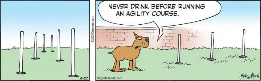 Dogs of C-Kennel for Jun 20, 2023