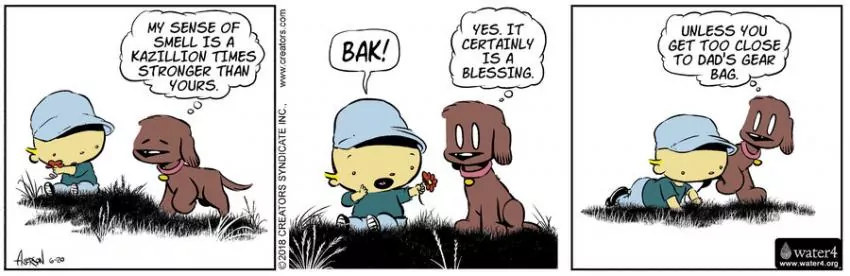 Dog Eat Doug for Jun 20, 2023