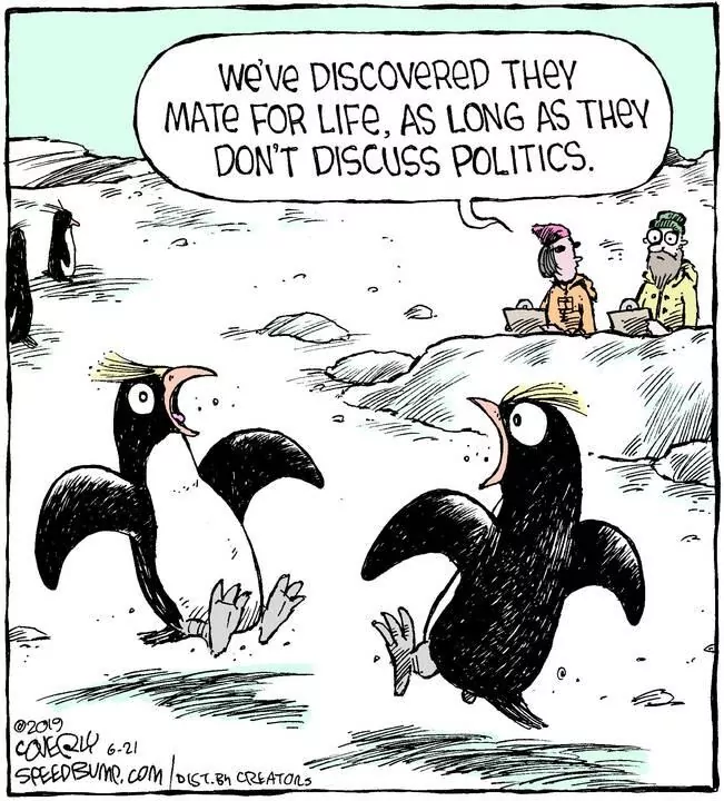 Speed Bump for Jun 21, 2023