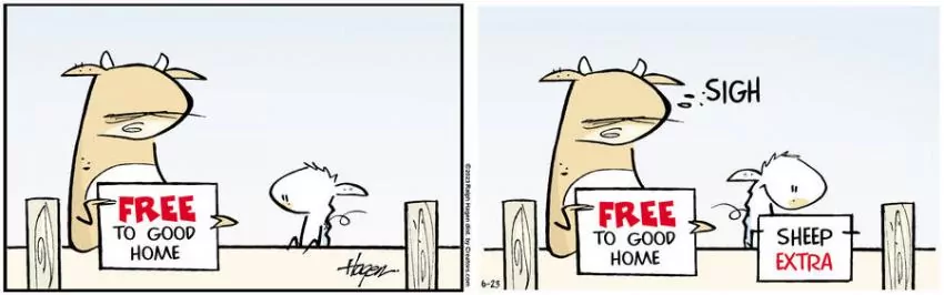 The Barn for Jun 23, 2023