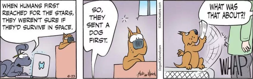 Dogs of C-Kennel for Jun 23, 2023