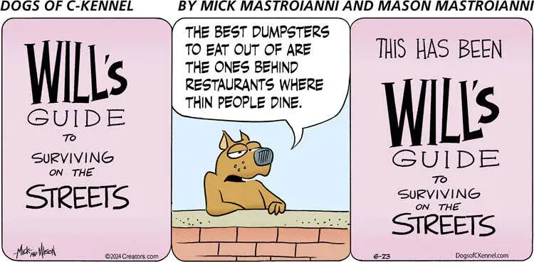 Dogs of C-Kennel for Jun 23, 2024