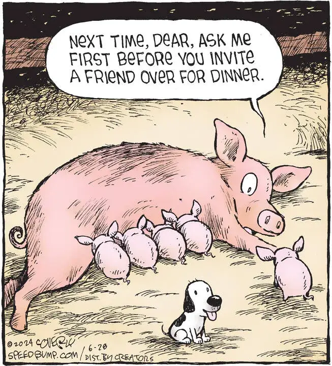 Speed Bump for Jun 28, 2024