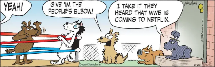 Dogs of C-Kennel for Jun 28, 2024