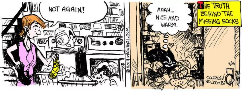 Zack Hill for Jun 29, 2023