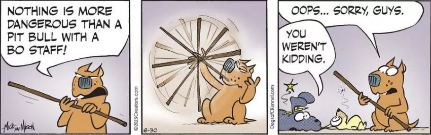 Dogs of C-Kennel for Jun 30, 2023