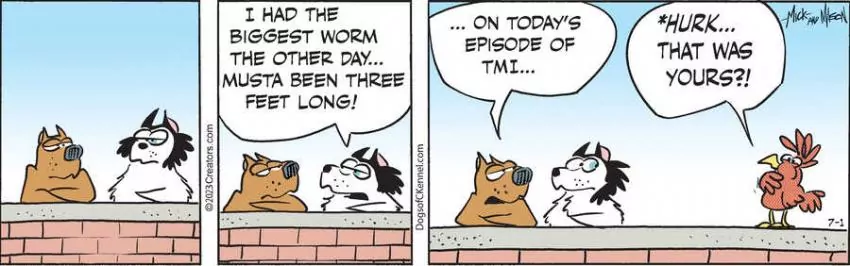 Dogs of C-Kennel for Jul 01, 2023