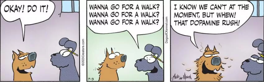 Dogs of C-Kennel for Jul 03, 2023