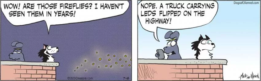 Dogs of C-Kennel for Jul 06, 2023