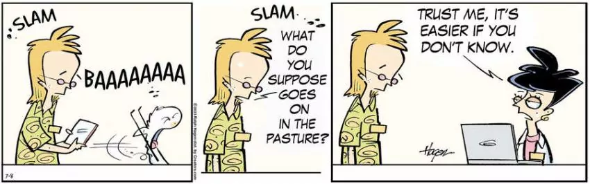 The Barn for Jul 08, 2023