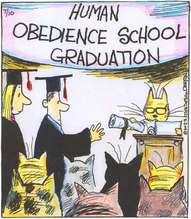 Strange Brew for Jul 10, 2023