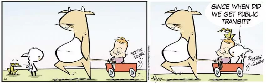 The Barn for Jul 11, 2023