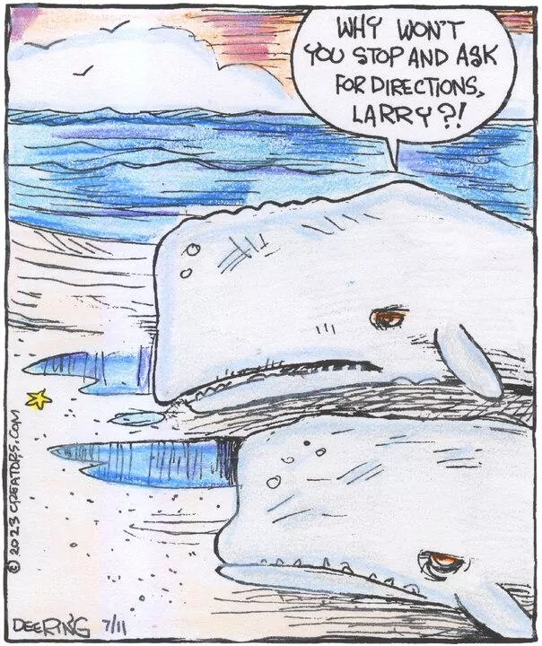 Strange Brew for Jul 11, 2023