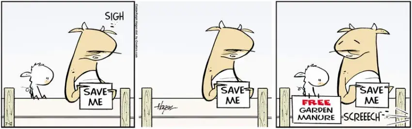 The Barn for Jul 12, 2024