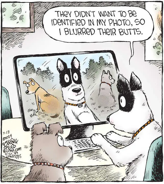 Speed Bump for Jul 13, 2024