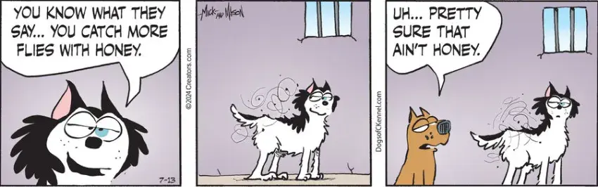 Dogs of C-Kennel for Jul 13, 2024