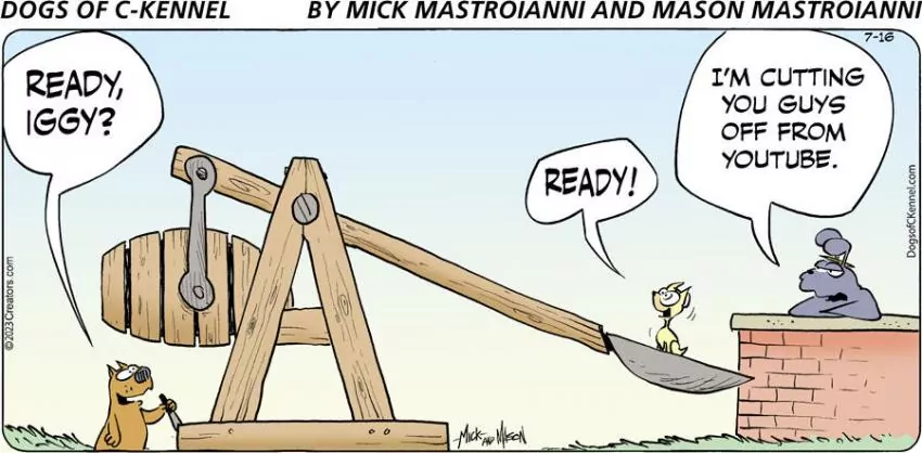 Dogs of C-Kennel for Jul 16, 2023