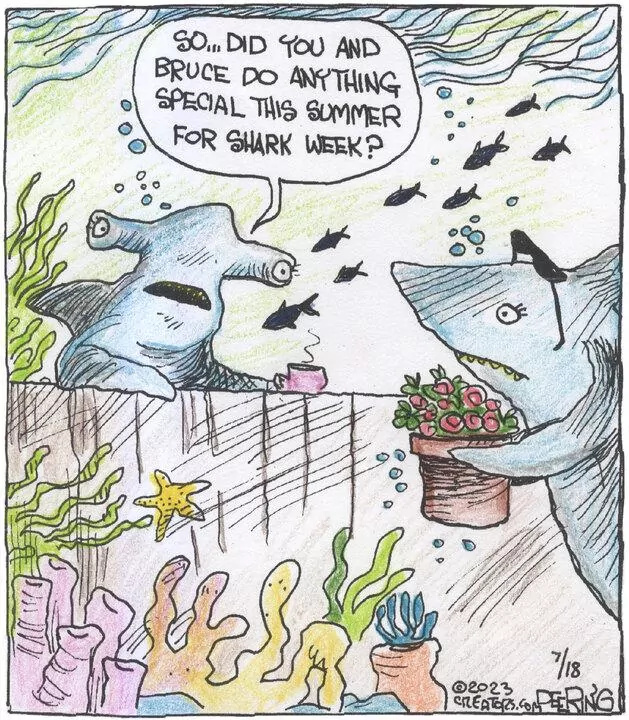 Strange Brew for Jul 18, 2023