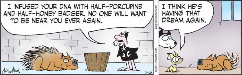 Dogs of C-Kennel for Jul 19, 2023