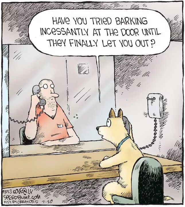 Speed Bump for Jul 20, 2023