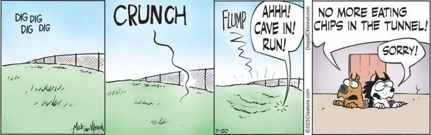Dogs of C-Kennel for Jul 20, 2023