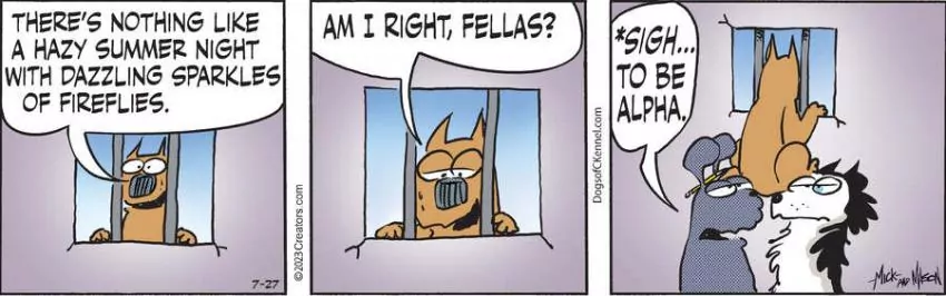 Dogs of C-Kennel for Jul 27, 2023