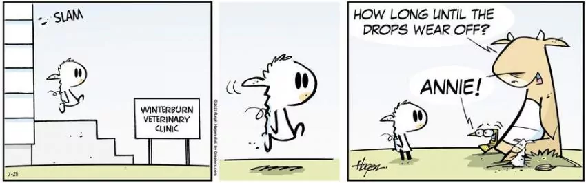 The Barn for Jul 28, 2023