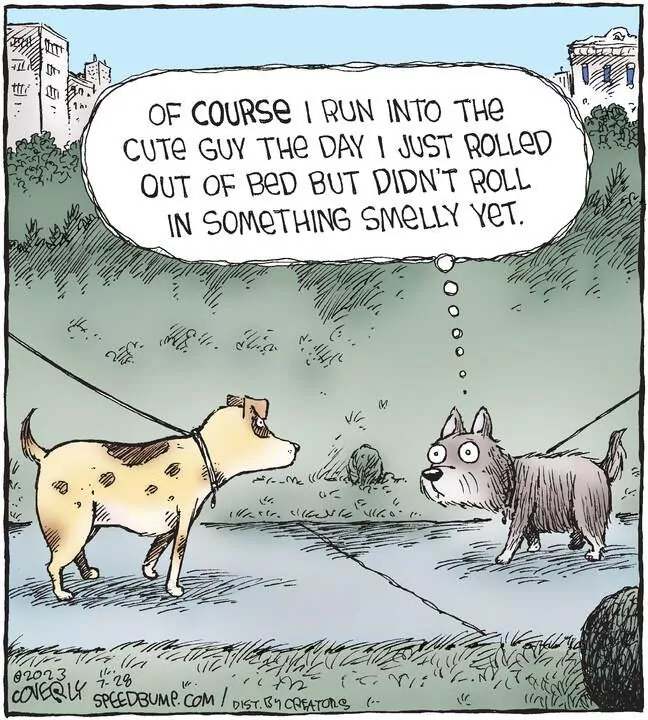 Speed Bump for Jul 28, 2023