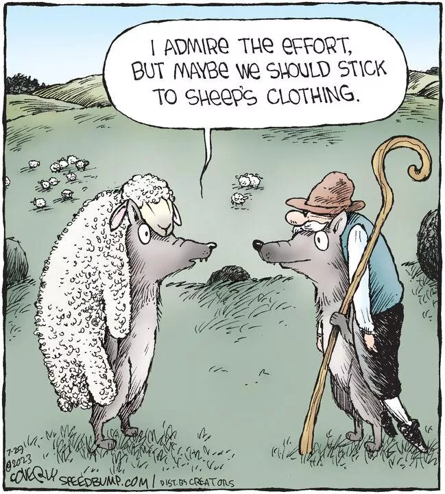 Speed Bump for Jul 29, 2023