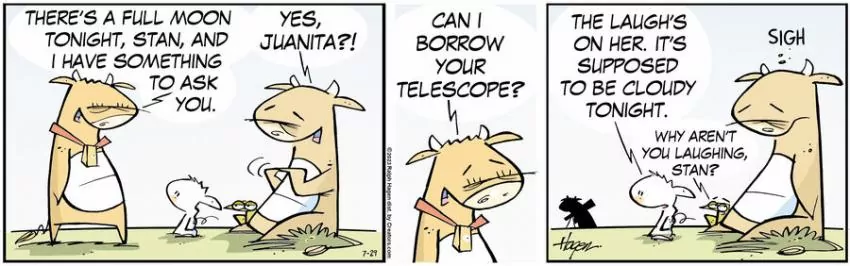 The Barn for Jul 29, 2023