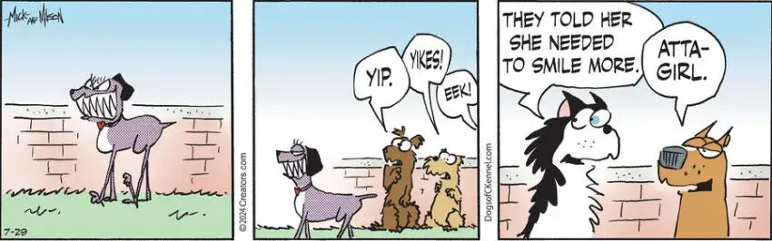 Dogs of C-Kennel for Jul 29, 2024