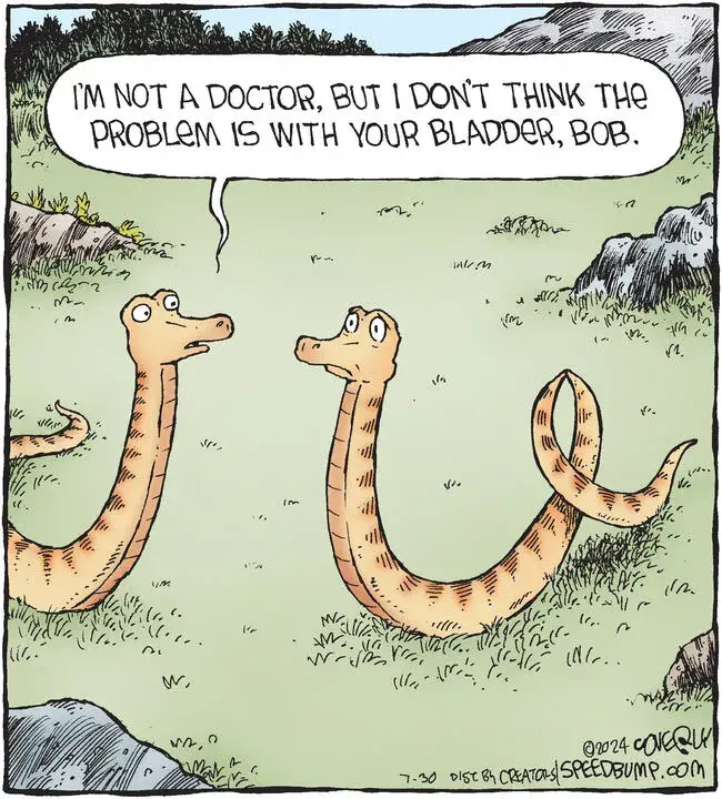 Speed Bump for Jul 30, 2024