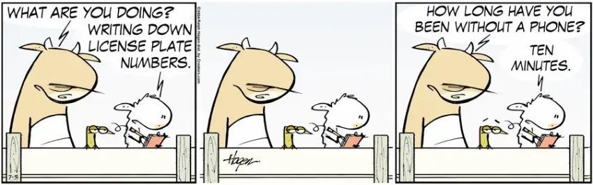 The Barn for Jul 31, 2024