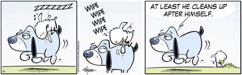 The Barn for Aug 01, 2023