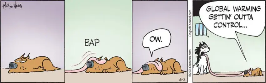 Dogs of C-Kennel for Aug 03, 2024