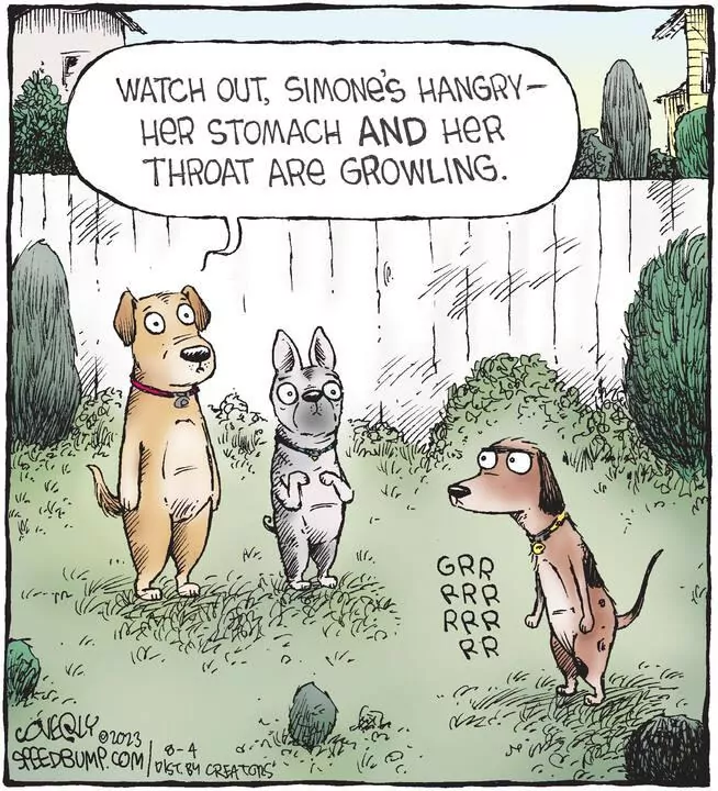 Speed Bump for Aug 04, 2023