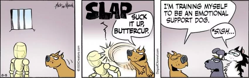 Dogs of C-Kennel for Aug 05, 2023