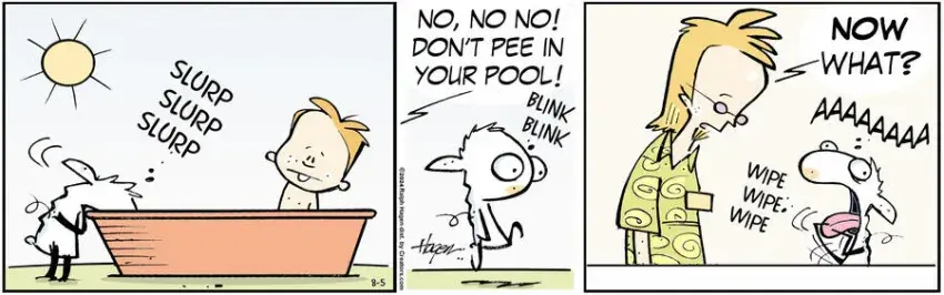 The Barn for Aug 05, 2024