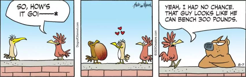 Dogs of C-Kennel for Aug 07, 2023