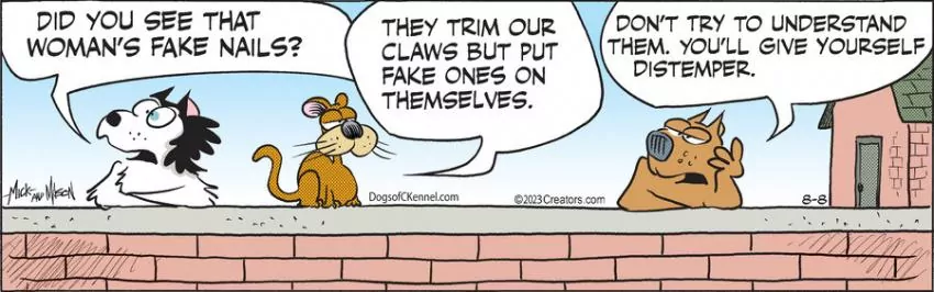 Dogs of C-Kennel for Aug 08, 2023