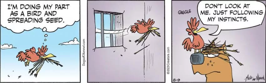 Dogs of C-Kennel for Aug 09, 2023