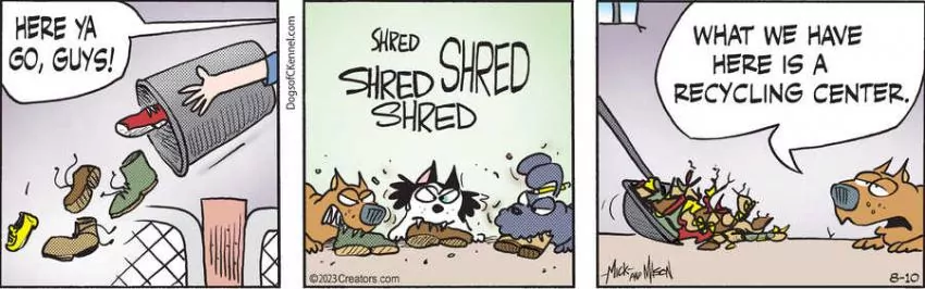 Dogs of C-Kennel for Aug 10, 2023