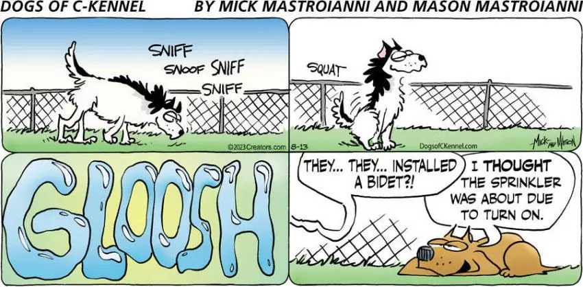 Dogs of C-Kennel for Aug 13, 2023