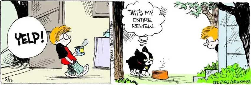 Zack Hill for Aug 13, 2024