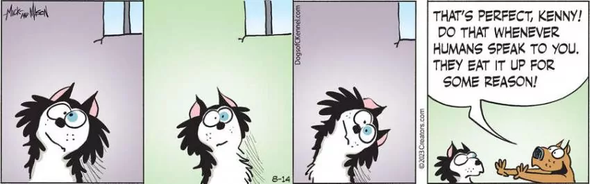 Dogs of C-Kennel for Aug 14, 2023